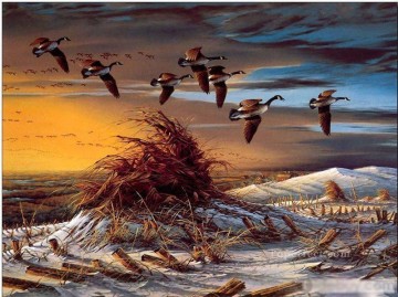  eau - Indiens d’Amérique de l’Ouest 41 oiseaux